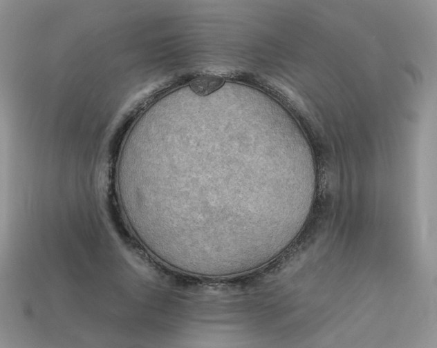 X0000113750736200910141025