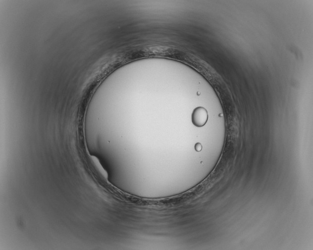 X0000113750738200910141025