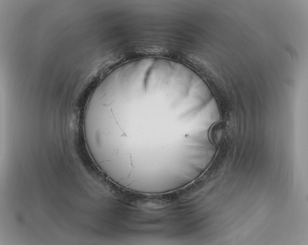 X0000113750739200910141025