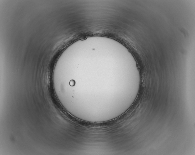 X0000113750740200910141025