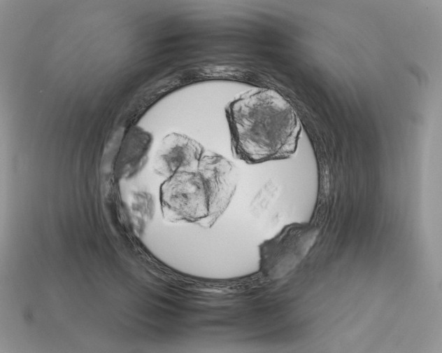 X0000113750741200910141025