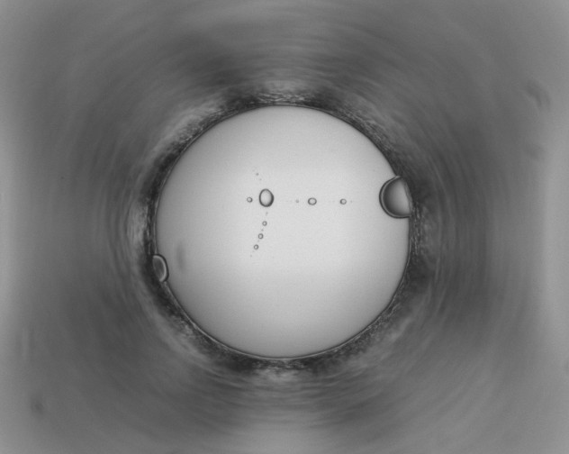 X0000113750742200910141025