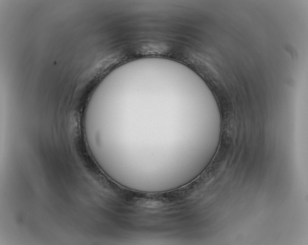 X0000113750743200910141025