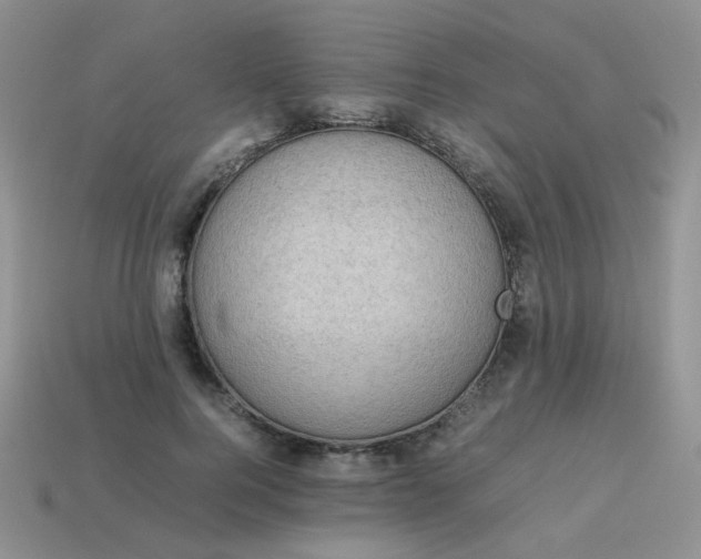 X0000113750744200910141025