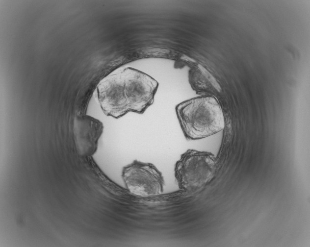 X0000113750745200910141025