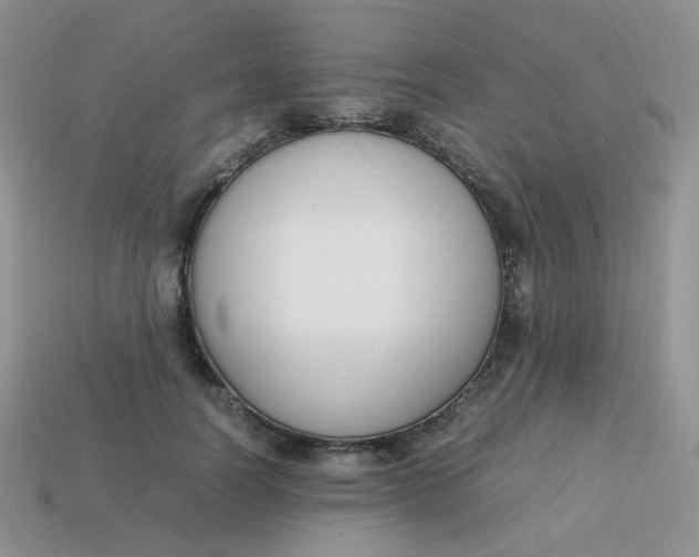 X0000113750746200910141025