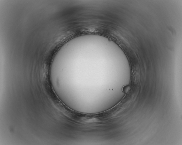 X0000113750747200910141025