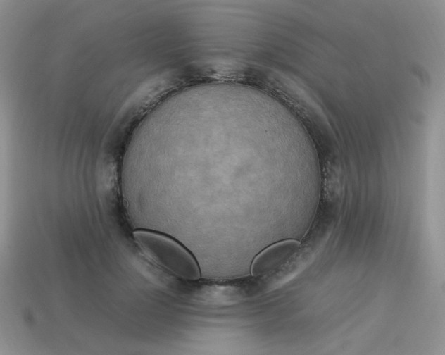 X0000113750748200910141025