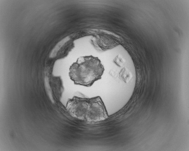 X0000113750749200910141026