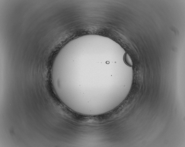 X0000113750750200910141026