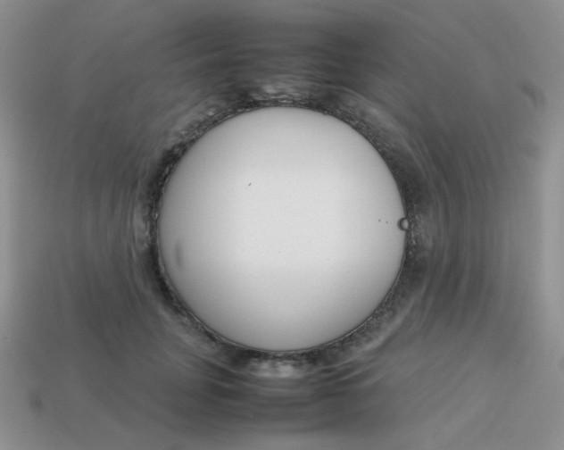 X0000113750751200910141026