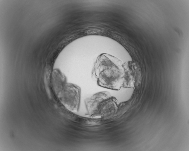 X0000113750753200910141026