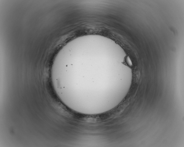 X0000113750756200910141026