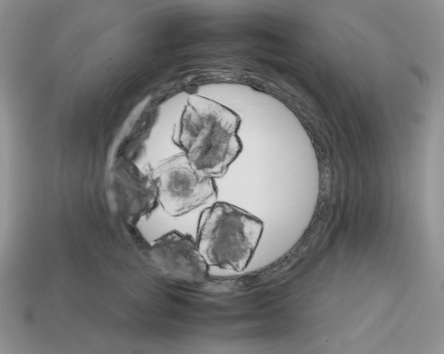 X0000113750757200910141026