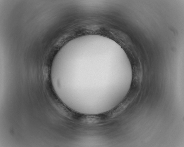 X0000113750758200910141026