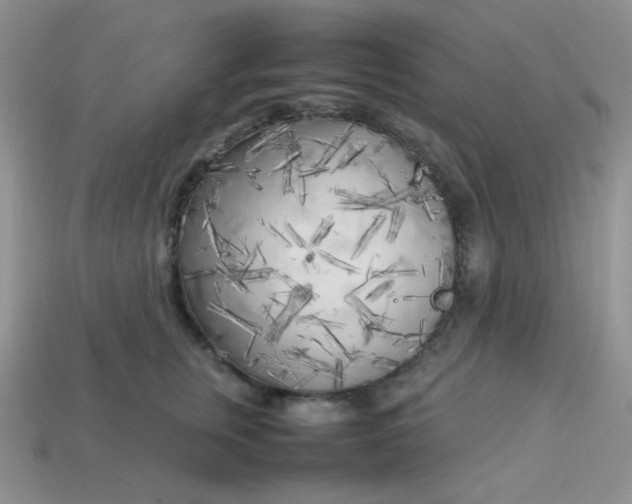 X0000113750759200910141026