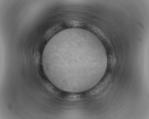 X0000113750760200910141026