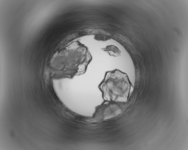 X0000113750761200910141026