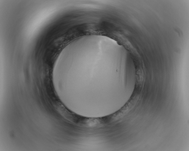 X0000113750762200910141026