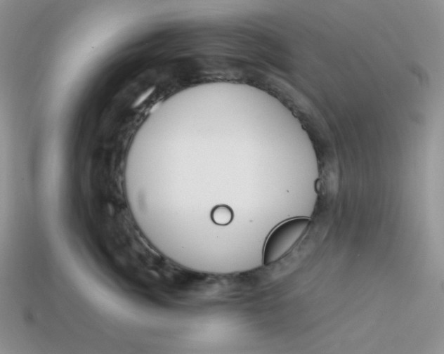 X0000113750764200910141026