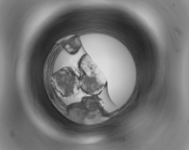 X0000113750765200910141026