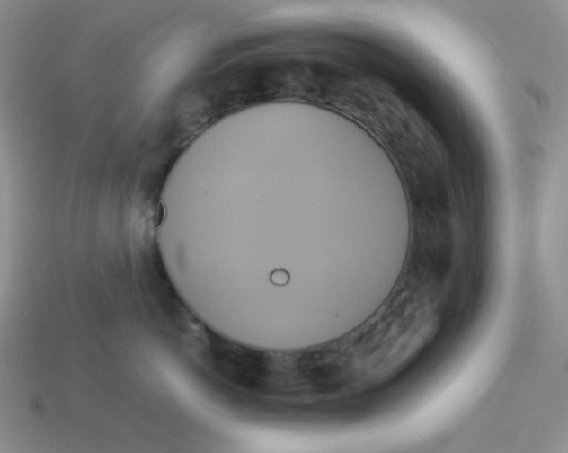 X0000113750766200910141026