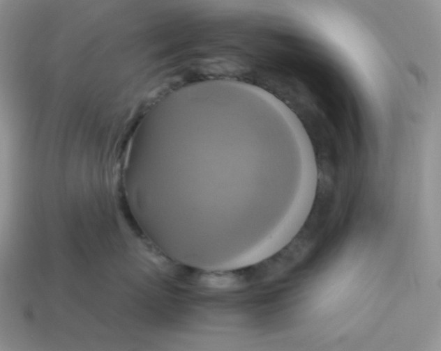 X0000113750767200910141026