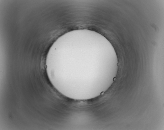 X0000113750768200910141026