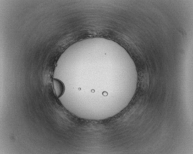 X0000113750770200910141025