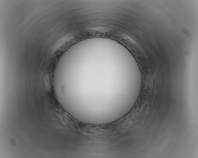 X0000113750774200910141025