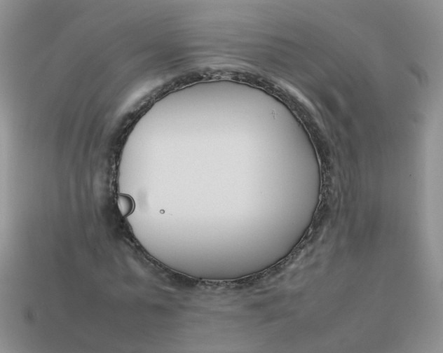 X0000113750775200910141025