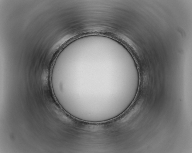 X0000113750778200910141025