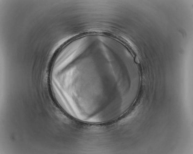 X0000113750779200910141025