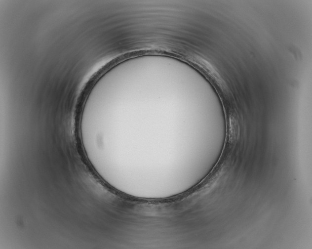 X0000113750780200910141025