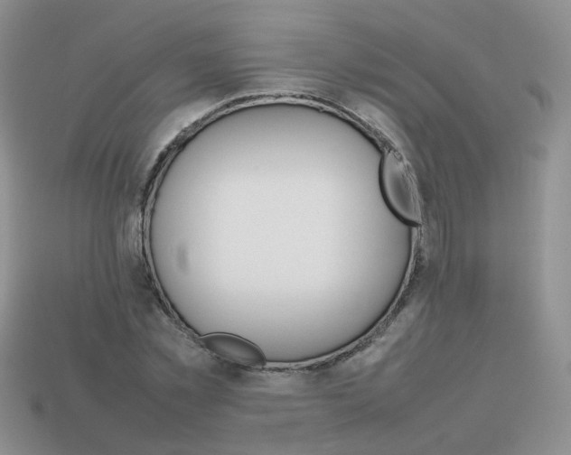 X0000113750781200910141025