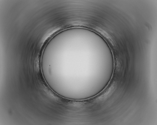 X0000113750782200910141025