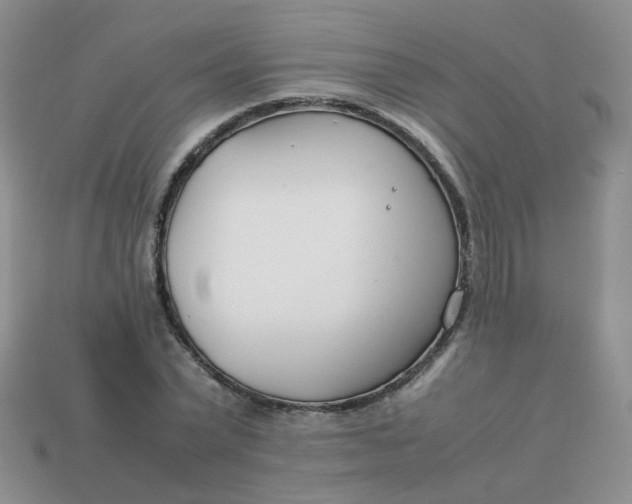 X0000113750783200910141025