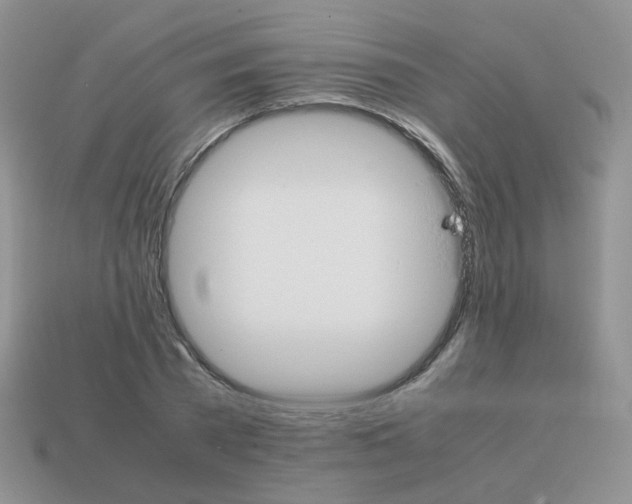 X0000113750785200910141025