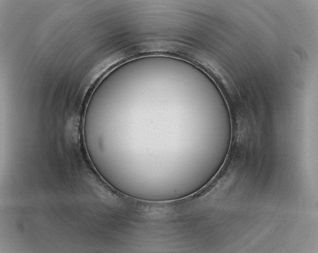 X0000113750786200910141025