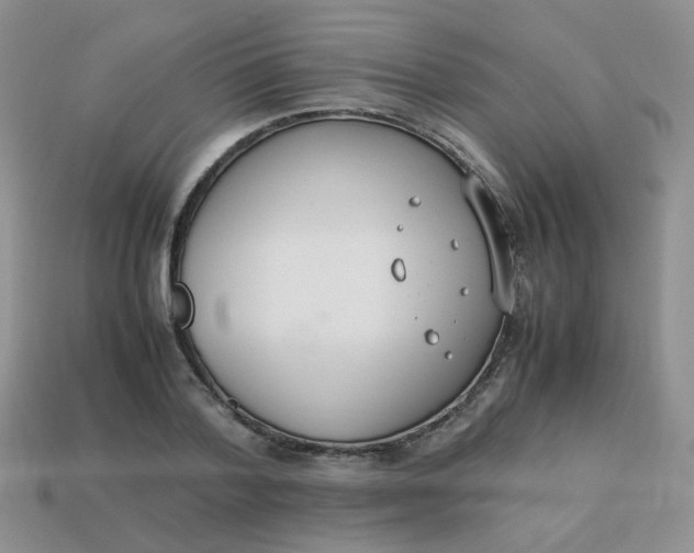 X0000113750788200910141025