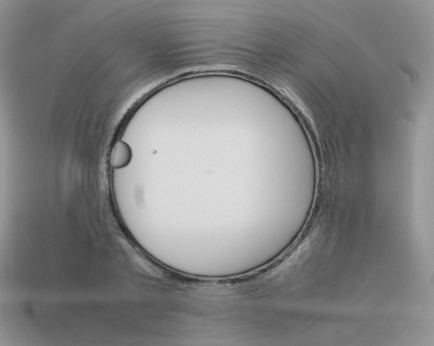 X0000113750789200910141025