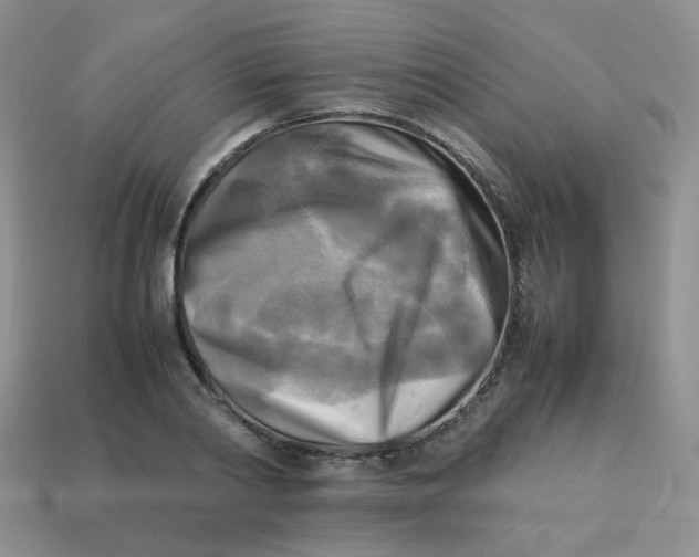 X0000113750790200910141025