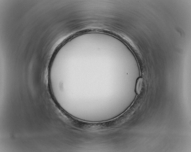 X0000113750791200910141025