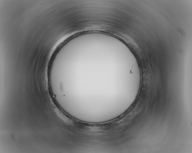 X0000113750792200910141025