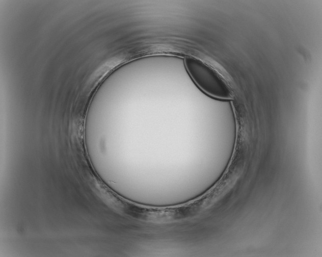 X0000113750793200910141025