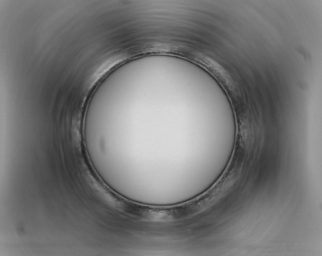 X0000113750794200910141025