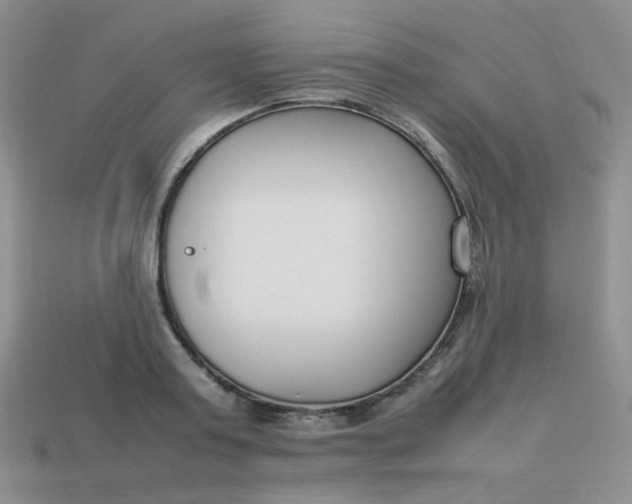 X0000113750795200910141025