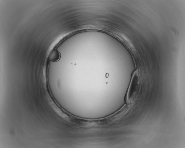 X0000113750796200910141025