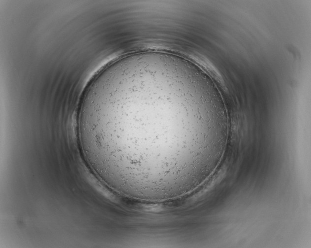 X0000113750798200910141025