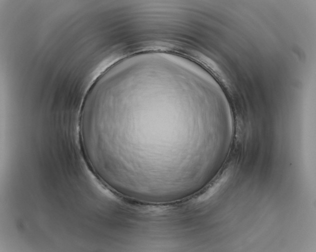 X0000113750802200910141025